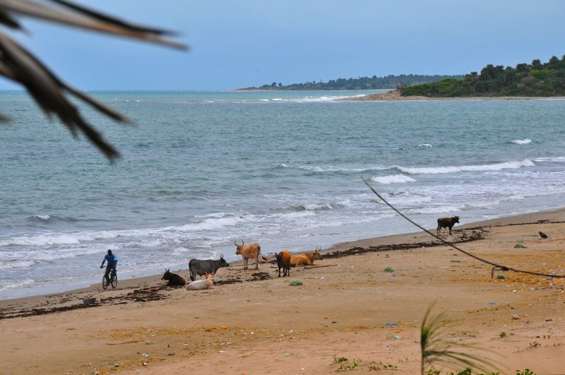 Gambia